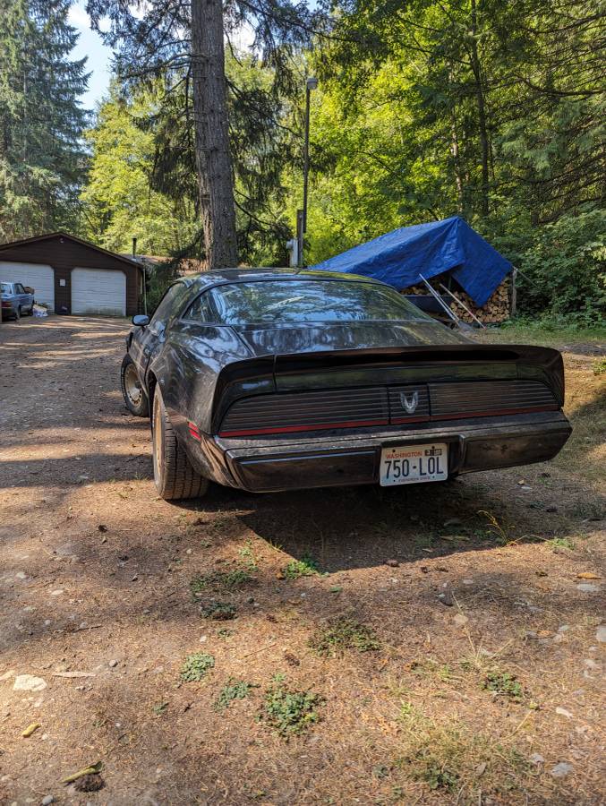Pontiac-trans-am-1981-3