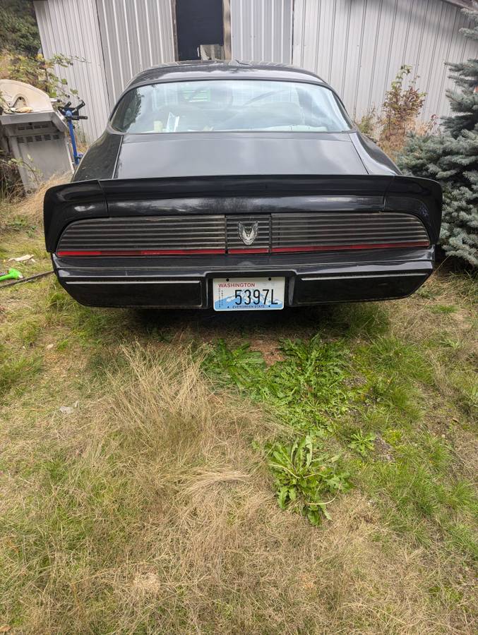 Pontiac-trans-am-1981-4