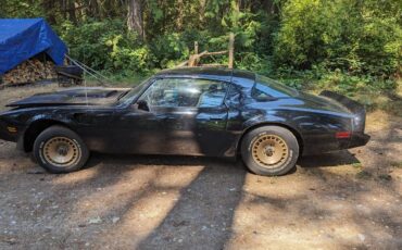 Pontiac-trans-am-1981-5