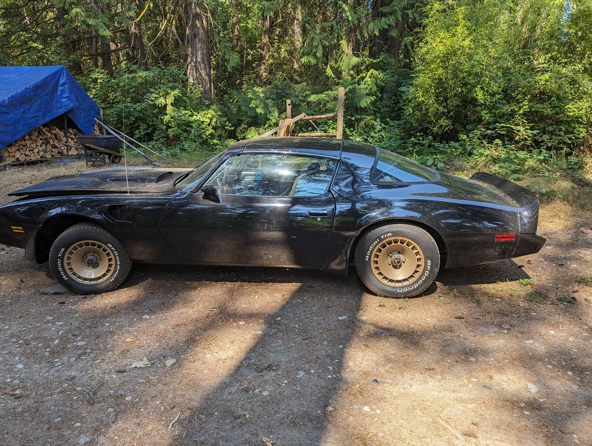 Pontiac-trans-am-1981-5