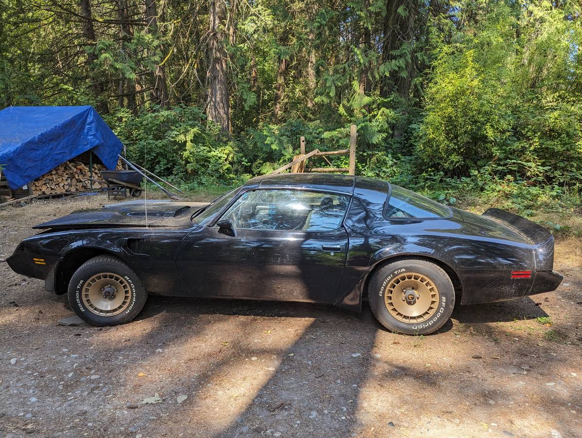 Pontiac-trans-am-1981