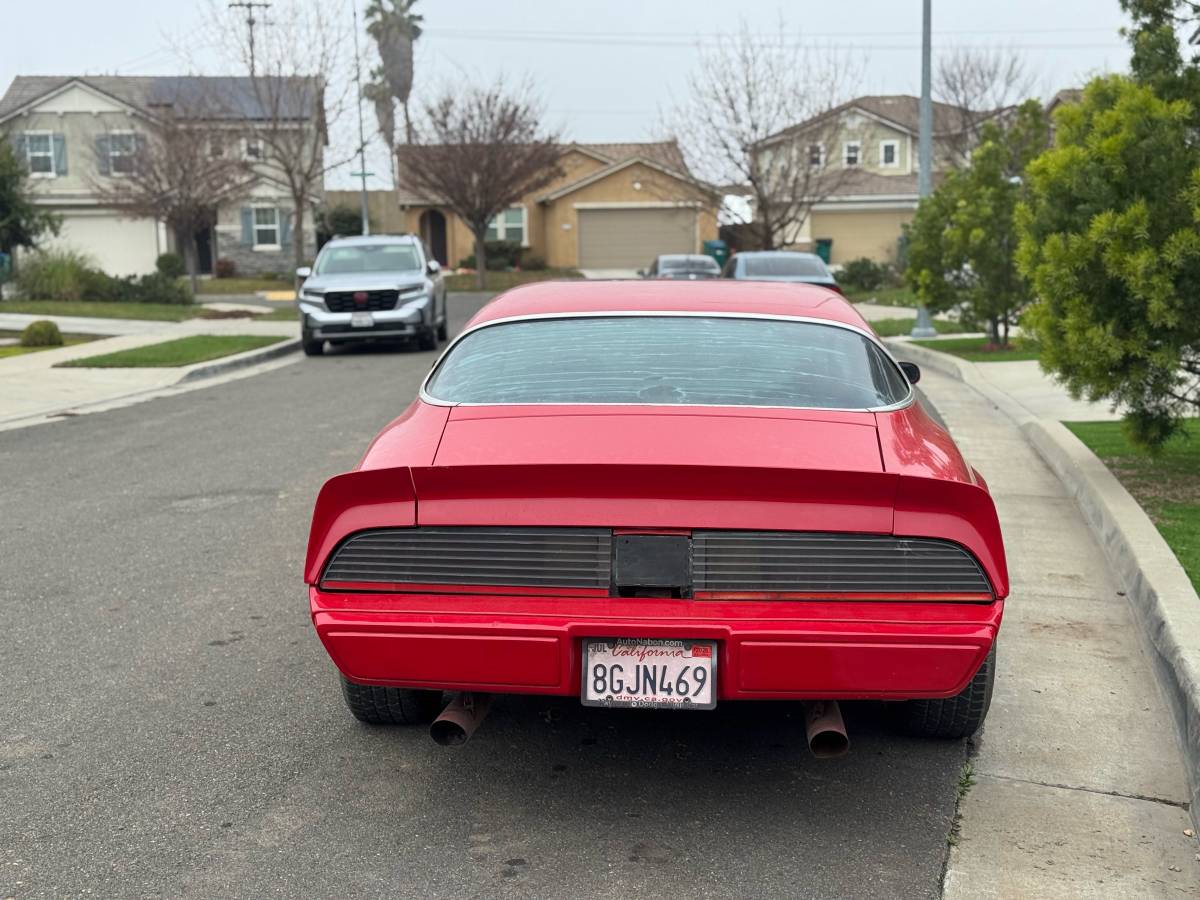 Pontiac-transam-1980-4