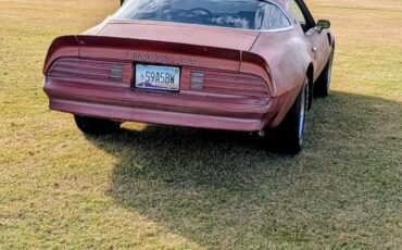 Pontiactrans-am-1976-3