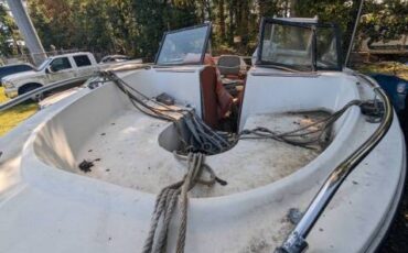 Renken-1779-1983-red-8