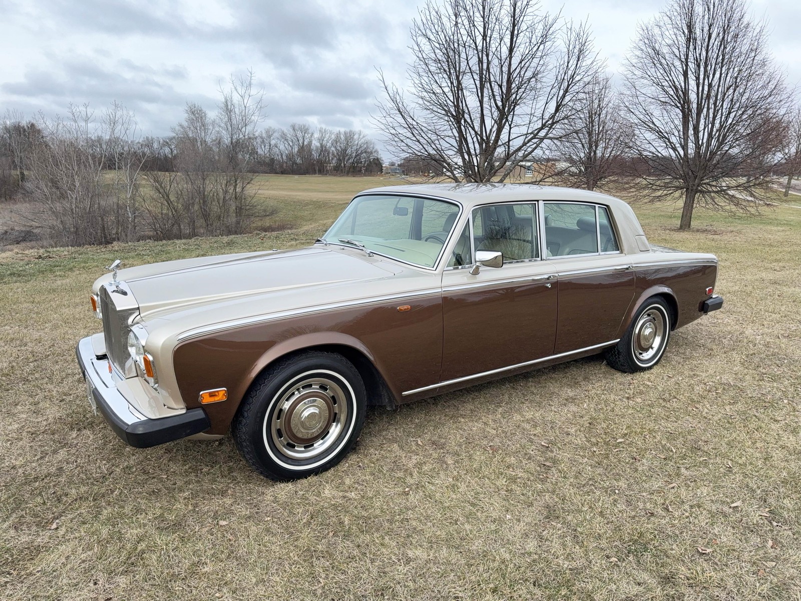 Rolls-Royce-Silver-Shadow-1978-10