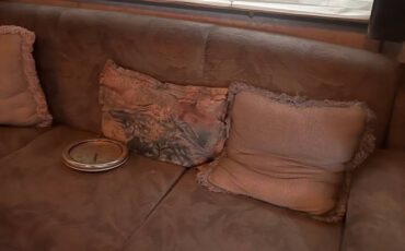 Scenic-cruiser-diesel-1996-blue-10