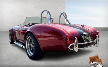 Shelby-1965-Convertible-10