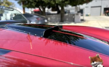 Shelby-1965-Convertible-13