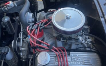 Shelby-1965-Convertible-16