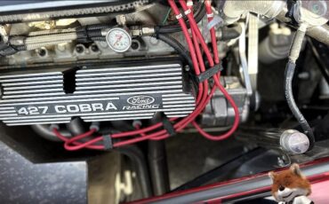 Shelby-1965-Convertible-16