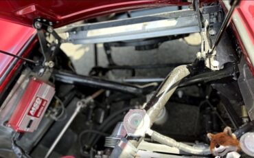 Shelby-1965-Convertible-5