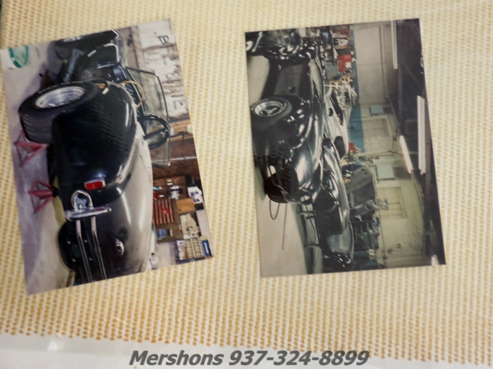 Shelby-All-Models-1965-Roadster-23