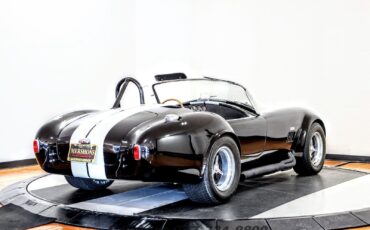 Shelby-All-Models-1965-Roadster-8