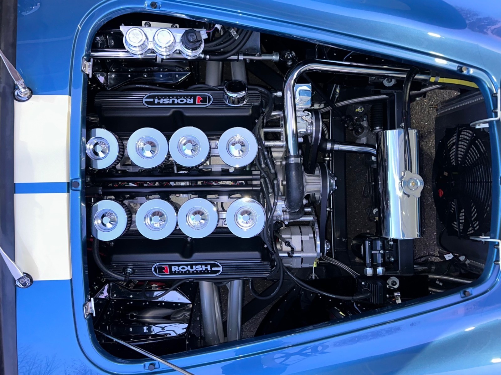 Shelby-Cobra-1965-36