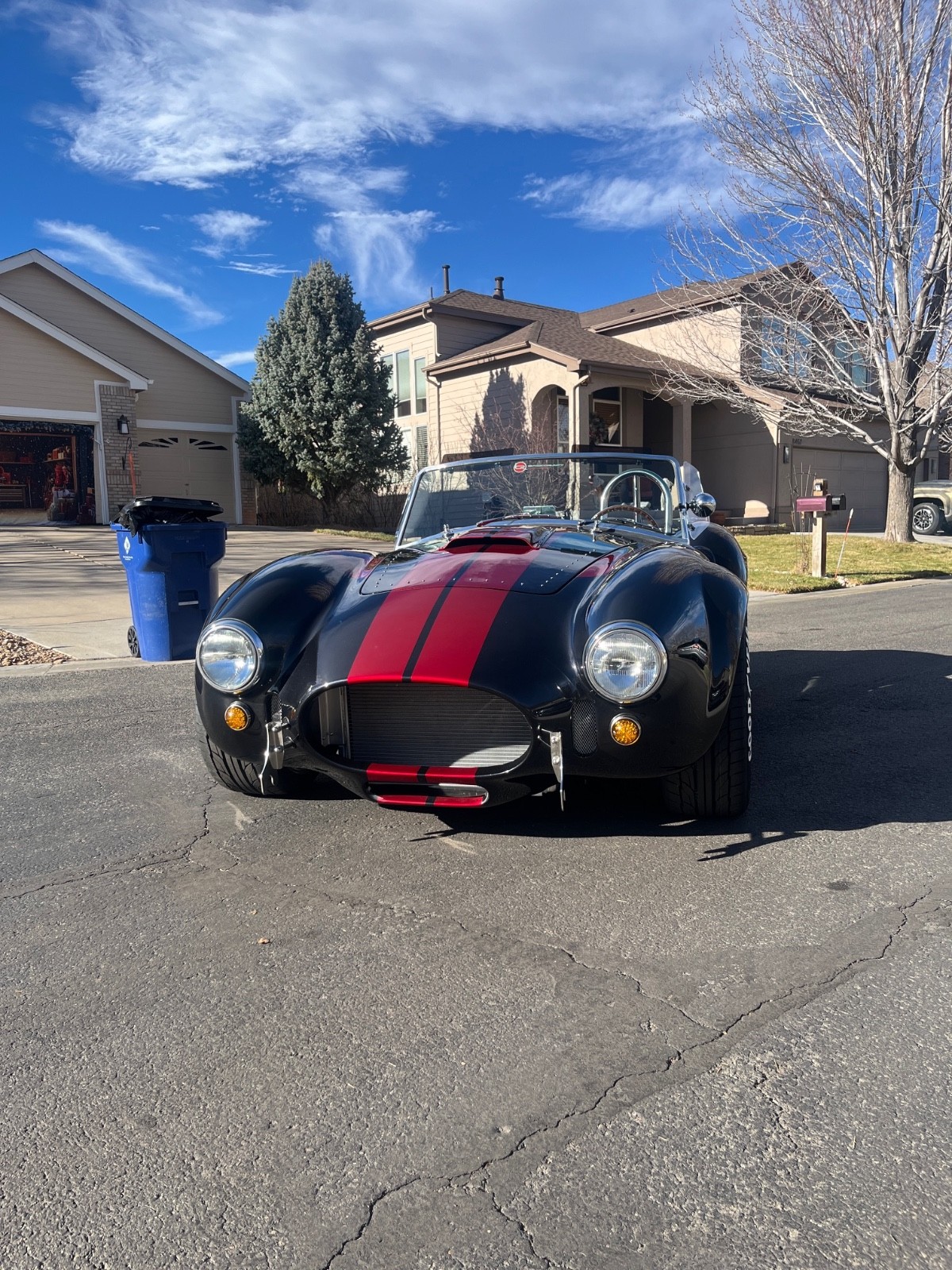 Shelby-Cobra-1965-Convertible-10