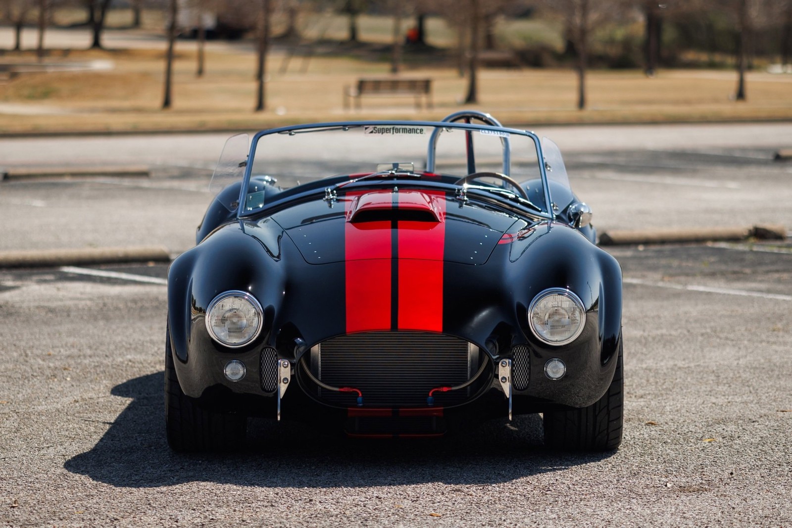 Shelby-Cobra-1965-Convertible-12