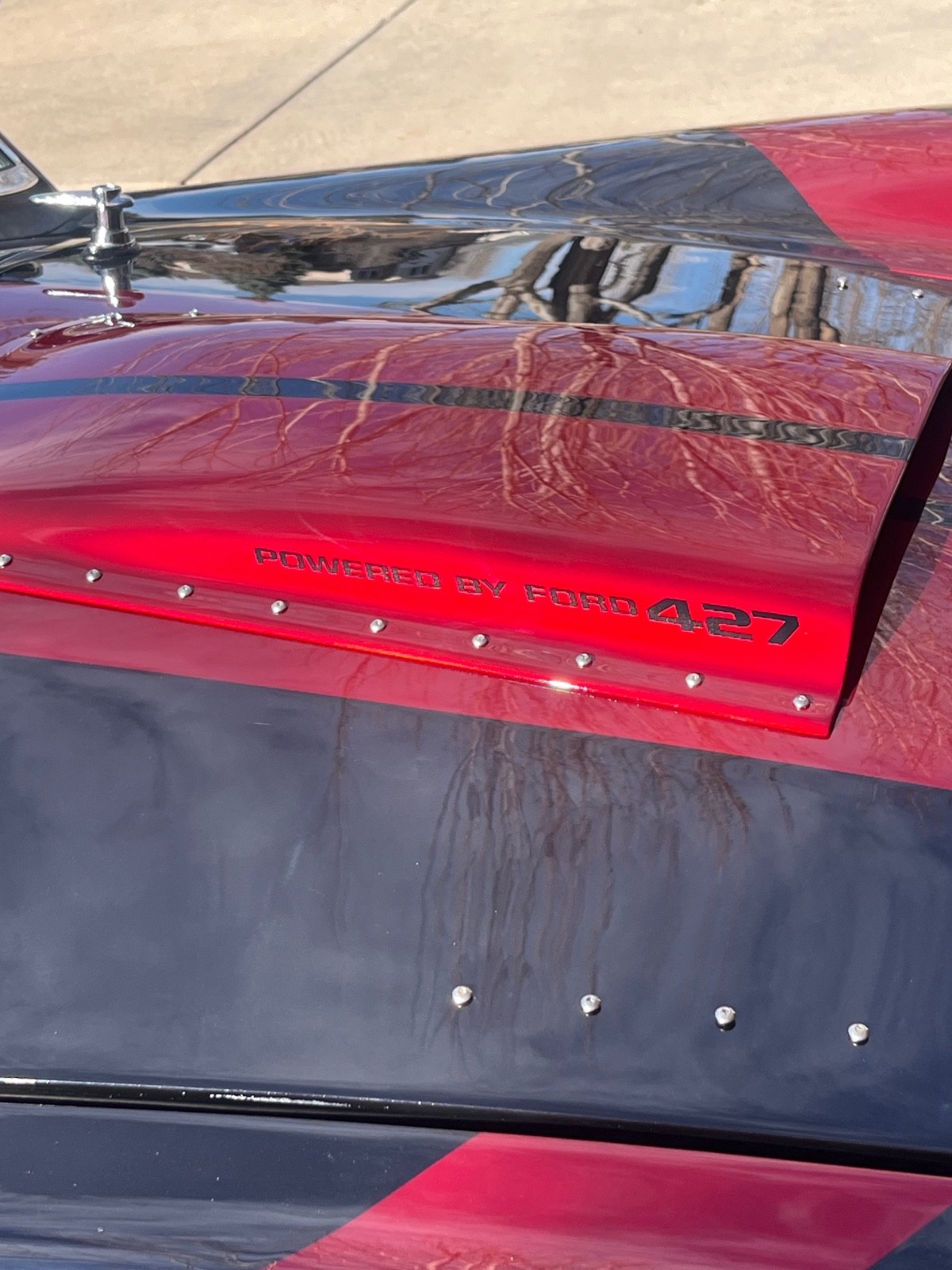 Shelby-Cobra-1965-Convertible-19