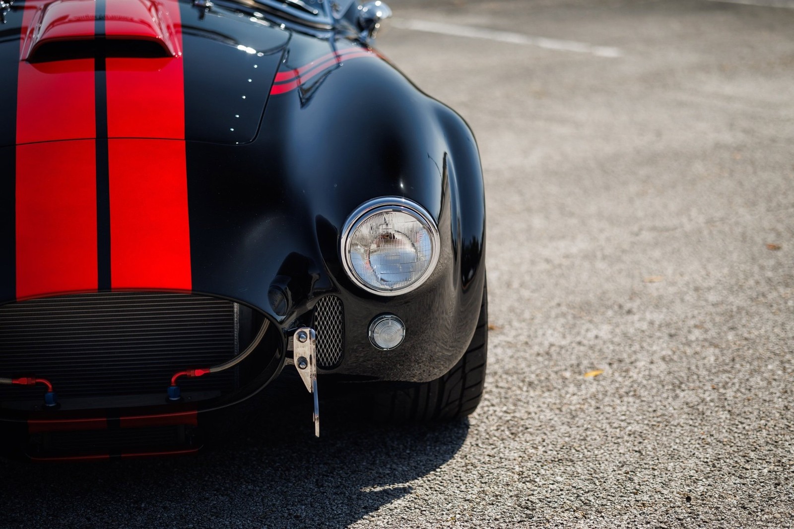 Shelby-Cobra-1965-Convertible-30