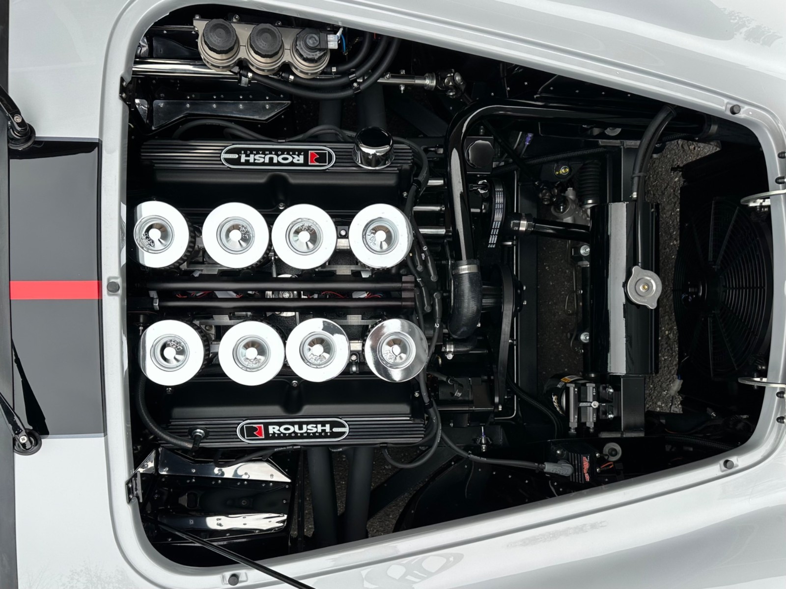 Shelby-Cobra-1965-Convertible-38