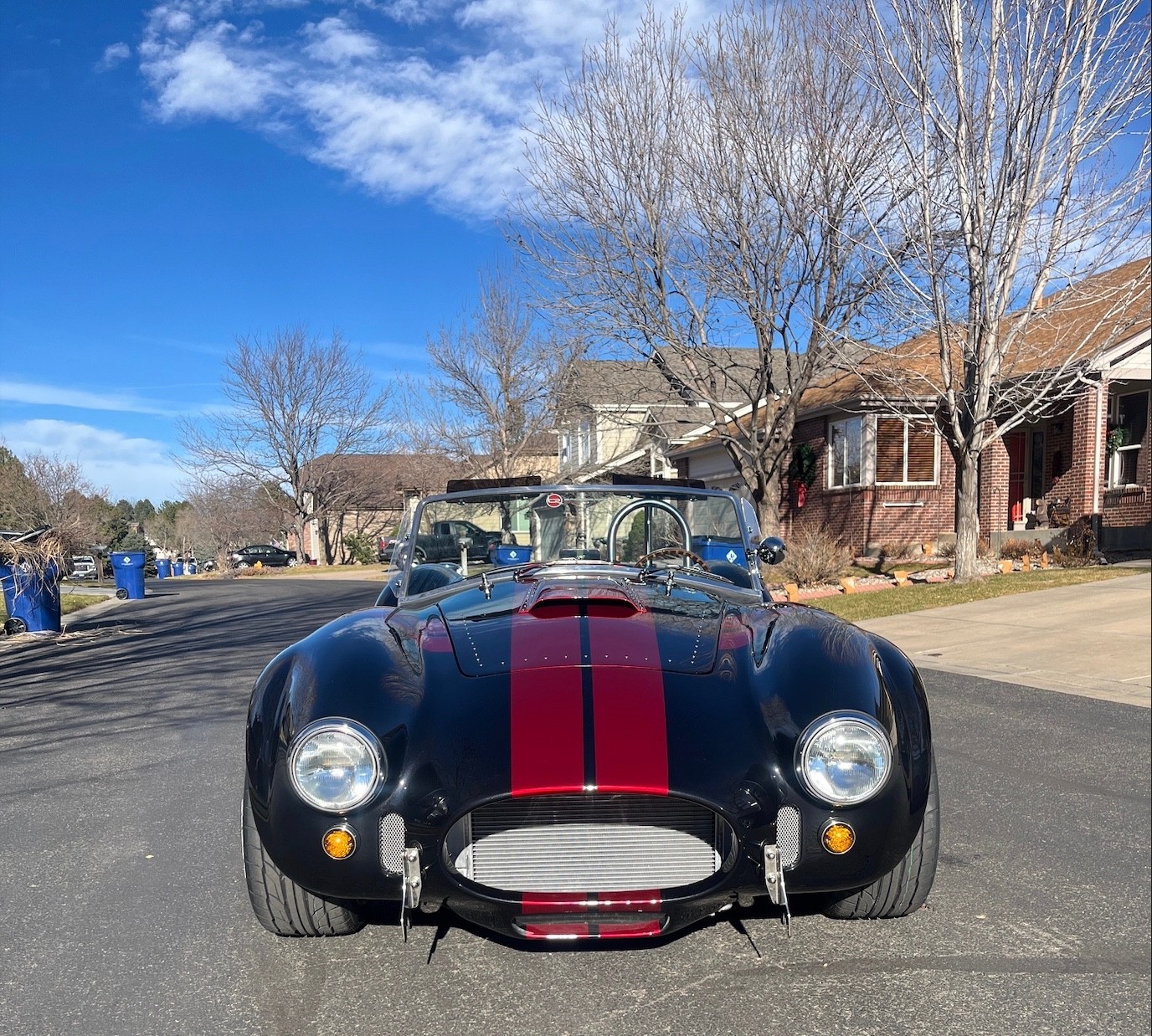 Shelby-Cobra-1965-Convertible-7