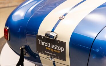 Shelby-Cobra-1965-Other-18