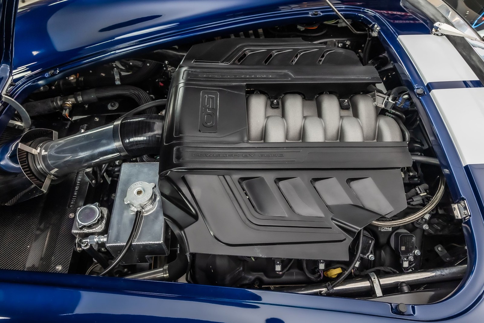 Shelby-Cobra-1965-Other-3