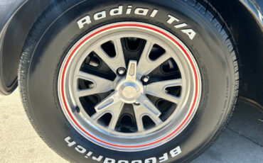 Shelby-Cobra-1965-Sedan-12