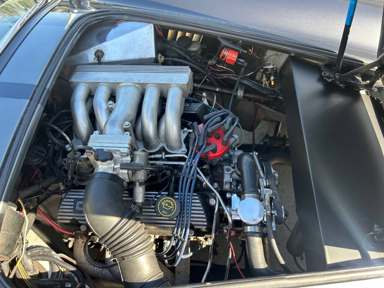 Shelby-Cobra-1965-Sedan-22