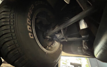 Shelby-Cobra-1965-Sedan-31