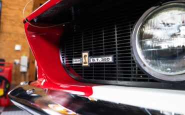 Shelby-GT350-1967-Other-14