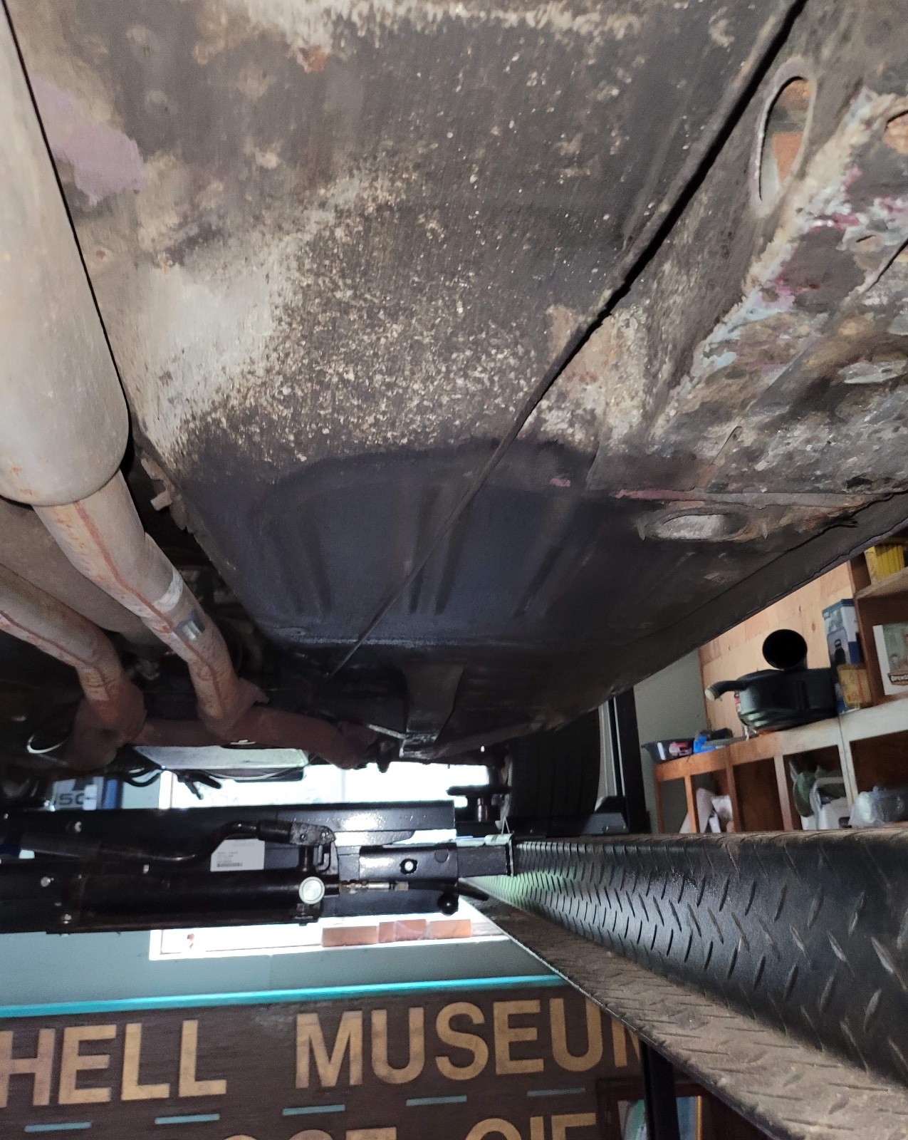 Shelby-GT500-1969-Coupe-14