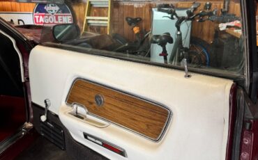 Shelby-GT500-1969-Coupe-20