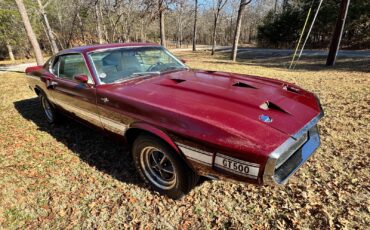 Shelby-GT500-1969-Coupe-3
