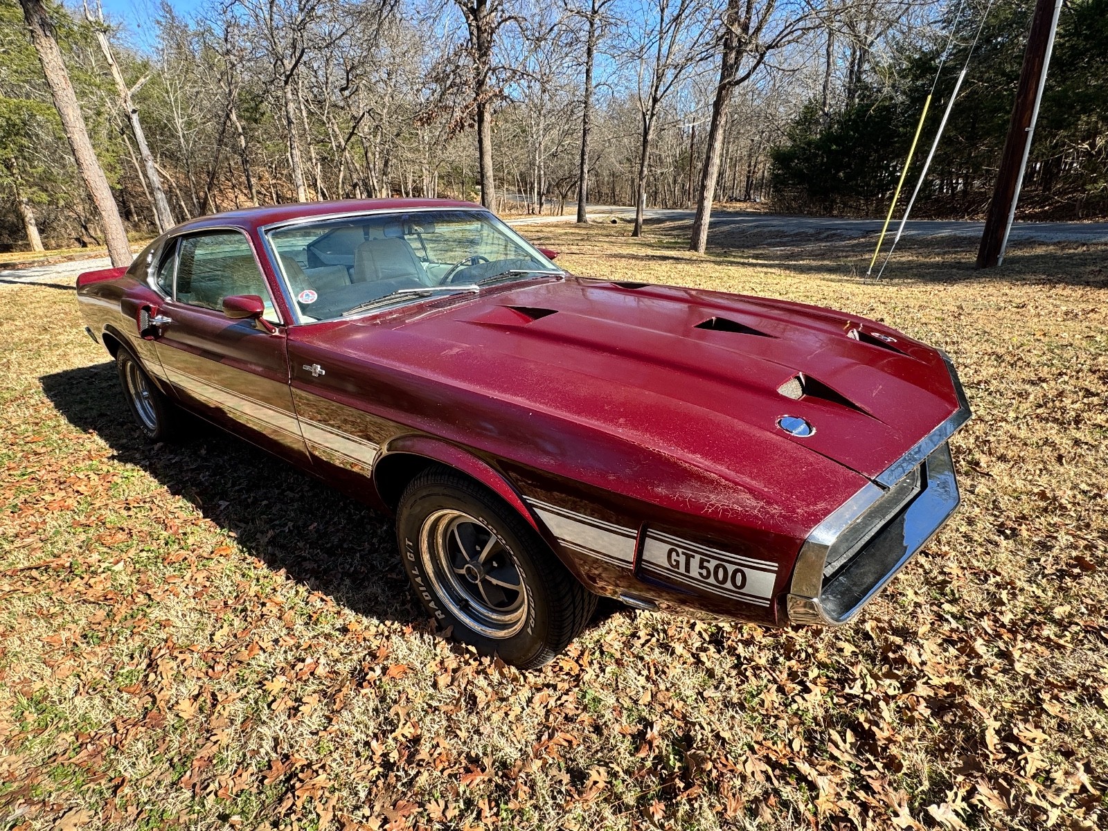 Shelby-GT500-1969-Coupe-3