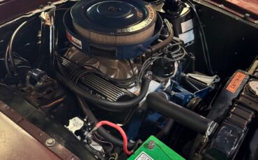 Shelby-GT500-1969-Coupe-30