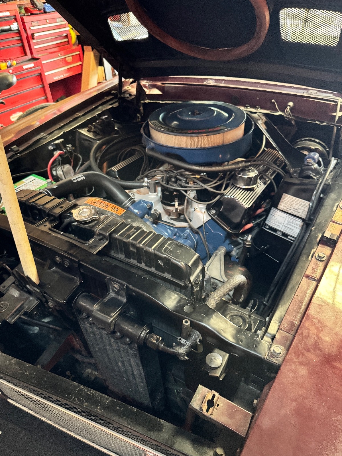 Shelby-GT500-1969-Coupe-31