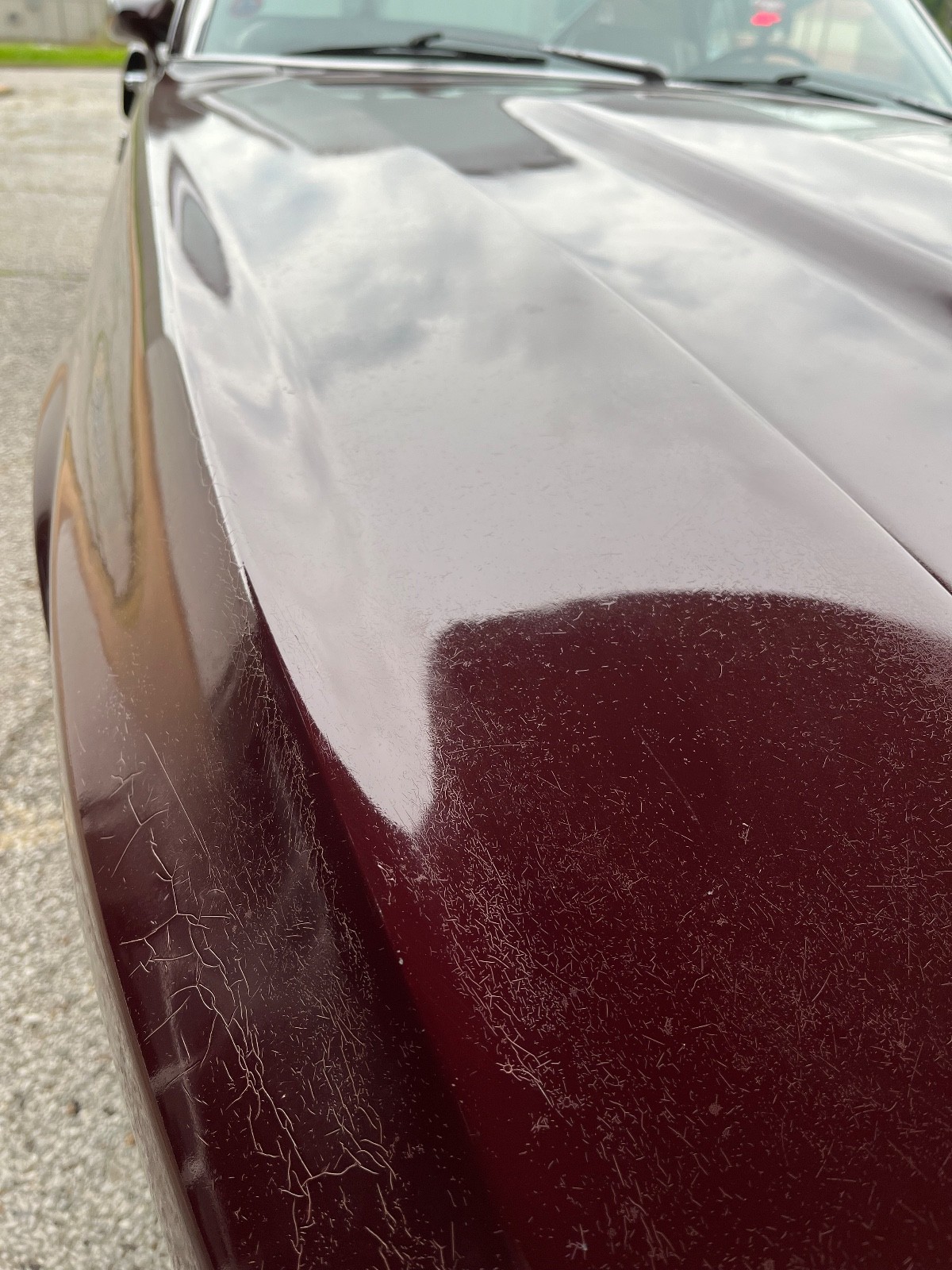 Shelby-GT500-1969-Coupe-34