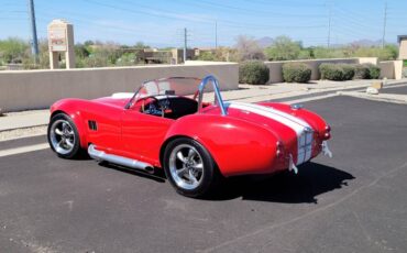 Shelby-cobra-replica-1965-5