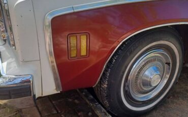 Sprint-1975-white-13