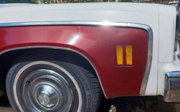 Sprint-1975-white-15