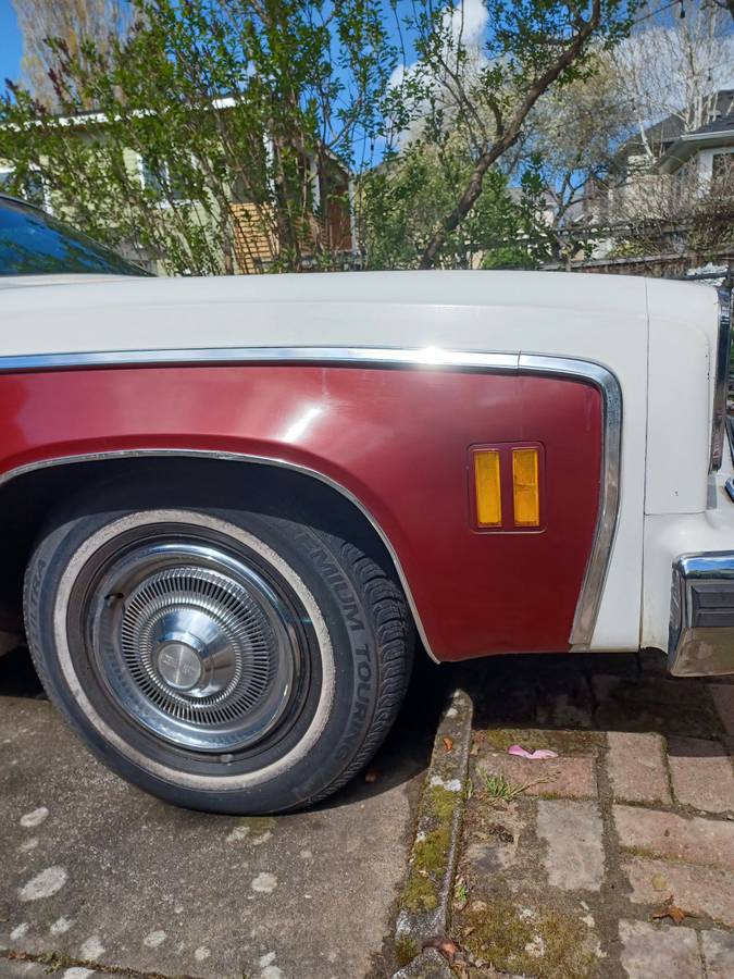 Sprint-1975-white-15