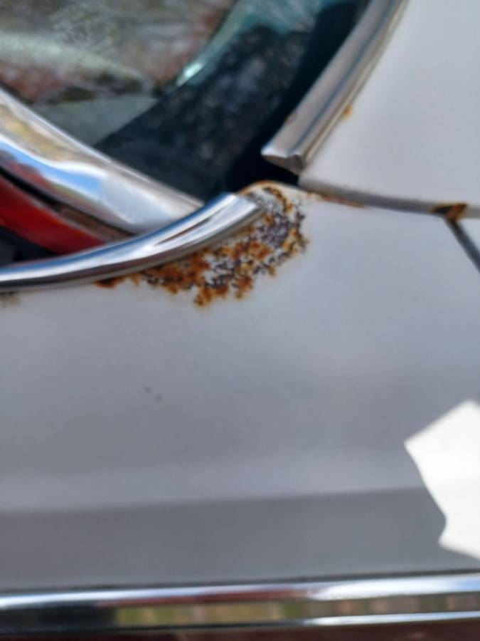 Sprint-1975-white-17