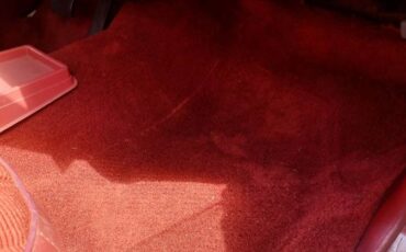 Sprint-1975-white-21