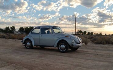 Super-beetle-1974-grey