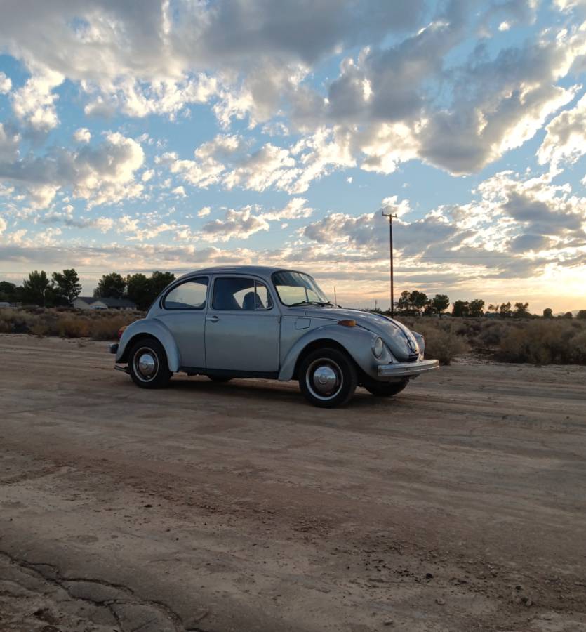 Super-beetle-1974-grey