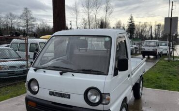 Suzuki-carry-4wd-1994-white-10
