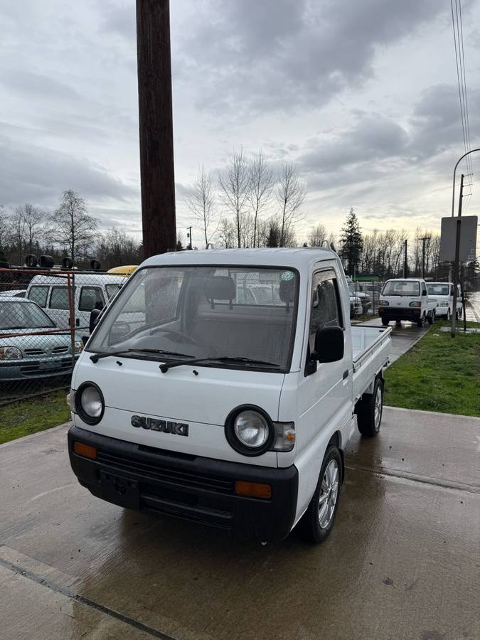 Suzuki-carry-4wd-1994-white-10