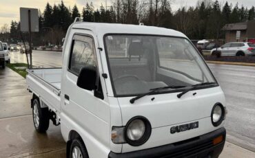 Suzuki-carry-4wd-1994-white-9