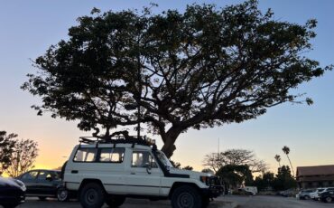 Toyota-Land-Cruiser-1980-SUV-1