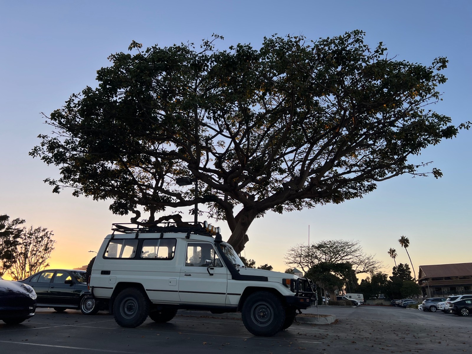 Toyota-Land-Cruiser-1980-SUV-1